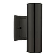 Riga 2-Light Outdoor Wall Mount in Matte Black