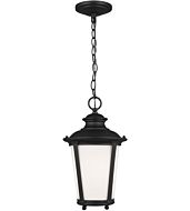 Sea Gull Cape May Outdoor Hanging Light in Black