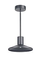 Tech Ash 12 Inch Outdoor Hanging Light in Charcoal