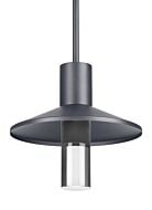 Tech Ash 12 Inch Outdoor Hanging Light in Charcoal