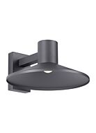 Tech Ash 14 Inch Outdoor Wall Light in Charcoal