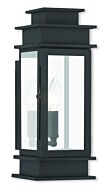 Princeton 1-Light Outdoor Wall Lantern in Black w with Polished Chrome Stainless Steel