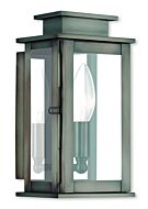 Princeton 1-Light Outdoor Wall Lantern in Vintage Pewter w with Polished Chrome Stainless Steel