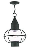 Newburyport 1-Light Outdoor Pendant in Black