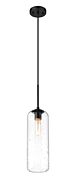 Z-Lite Monty 1-Light Pendant Light In Matte Black