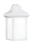 One Light Outdoor Wall Lantern by Generation Lighting.