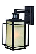 Hyde Park 1-Light Motion Sensor Outdoor Wall Light in Espresso Bronze