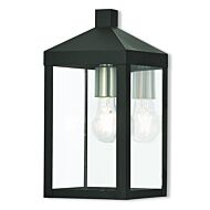 Nyack 1-Light Outdoor Wall Lantern in Black w with Brushed Nickel Cluster and Polished Chrome Stainless Steel