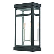 Hopewell 2-Light Outdoor Wall Lantern in Black w with Brushed Nickel Cluster and Polished Chrome Stainless Steel