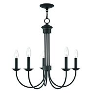 Estate 5-Light Chandelier in Bronze