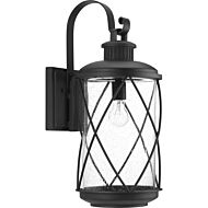 Hollingsworth 1-Light Wall Lantern in Black