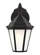 Bakersville 1-Light Outdoor Wall Lantern in Black