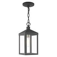 Nyack 1-Light Outdoor Pendant in Scandinavian Gray w with Brushed Nickels