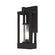 Delancey 1-Light Outdoor Wall Lantern in Black