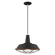 Metal Shade Mini Pendants 1-Light Mini Pendant in Black w with Brushed Nickels