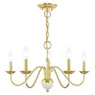 Windsor 5-Light Chandelier in Polished Brass w with White