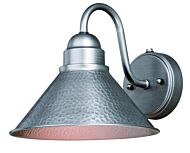 Outland 1-Light Outdoor Wall Mount in Brushed Pewter