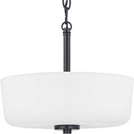 Tobin 2-Light Semi-Flush Convertible in Black