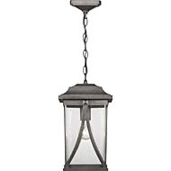 Abbott 1-Light Hanging Lantern in Antique Pewter