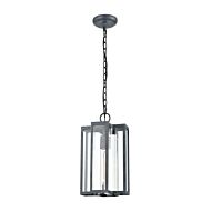 Bianca 1-Light Outdoor Pendant in Aged Zinc