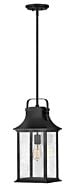 Grant 1-Light LED Outdoor Lantern in Textured Black