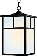 Coldwater 1-Light Outdoor Hanging Lantern in Black