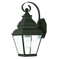 Exeter 1-Light Outdoor Wall Lantern in Black