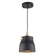 Artcraft Euro Industrial Pendant Light in Matte Black & Harvest Brass