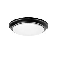 Baron LED Flush Mount in Black