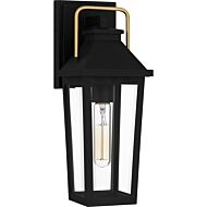 Buckley 1-Light Outdoor Lantern in Matte Black