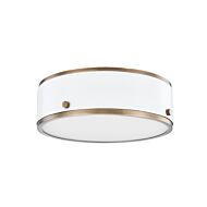 Eli 1-Light LED Flush Mount Ceiling Light 