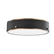 Eli 1-Light LED Flush Mount Ceiling Light 