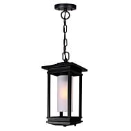 CWI Granville 1 Light Black Outdoor Hanging Light