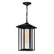 CWI Crawford 1 Light Black Outdoor Hanging Light