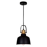 CWI Elisa 1 Light Down Pendant With Black Finish