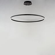 Groove WiZ 1-Light LED Pendant in Black