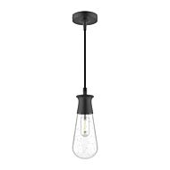 Marcel 1-Light Outdoor Pendant in Clear Bubble Glass with Textured Black