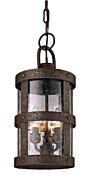 Troy Barbosa 3 Light 17 Inch Pendant Light in Barbosa Bronze