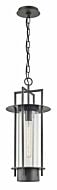 Troy Carroll Park 24 Inch Pendant Light in Bronze