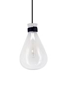 Del Mar 1-Light Pendant in White with Clear