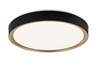 Alamus 1-Light LED Ceiling Mount in Aged Gold Brass with Matte Black