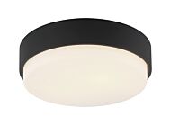 Quintz 2-Light Ceiling Mount in Matte Black