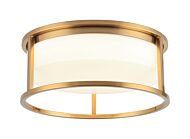 Framerton 2-Light Ceiling Mount in Aged Gold Brass