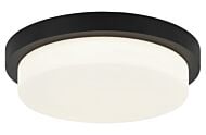 Durham 1-Light LED Ceiling Mount in Matte Black