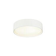 Ezra 1-Light LED Ceiling Mount in White