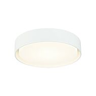 Ezra 1-Light LED Ceiling Mount in White