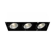 Eurofase Te223 3 Light Ceiling Light in Metal