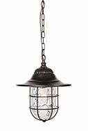 Craftmade Fairmont 14" Outdoor Hanging Light in Oiled Bronze Gilded