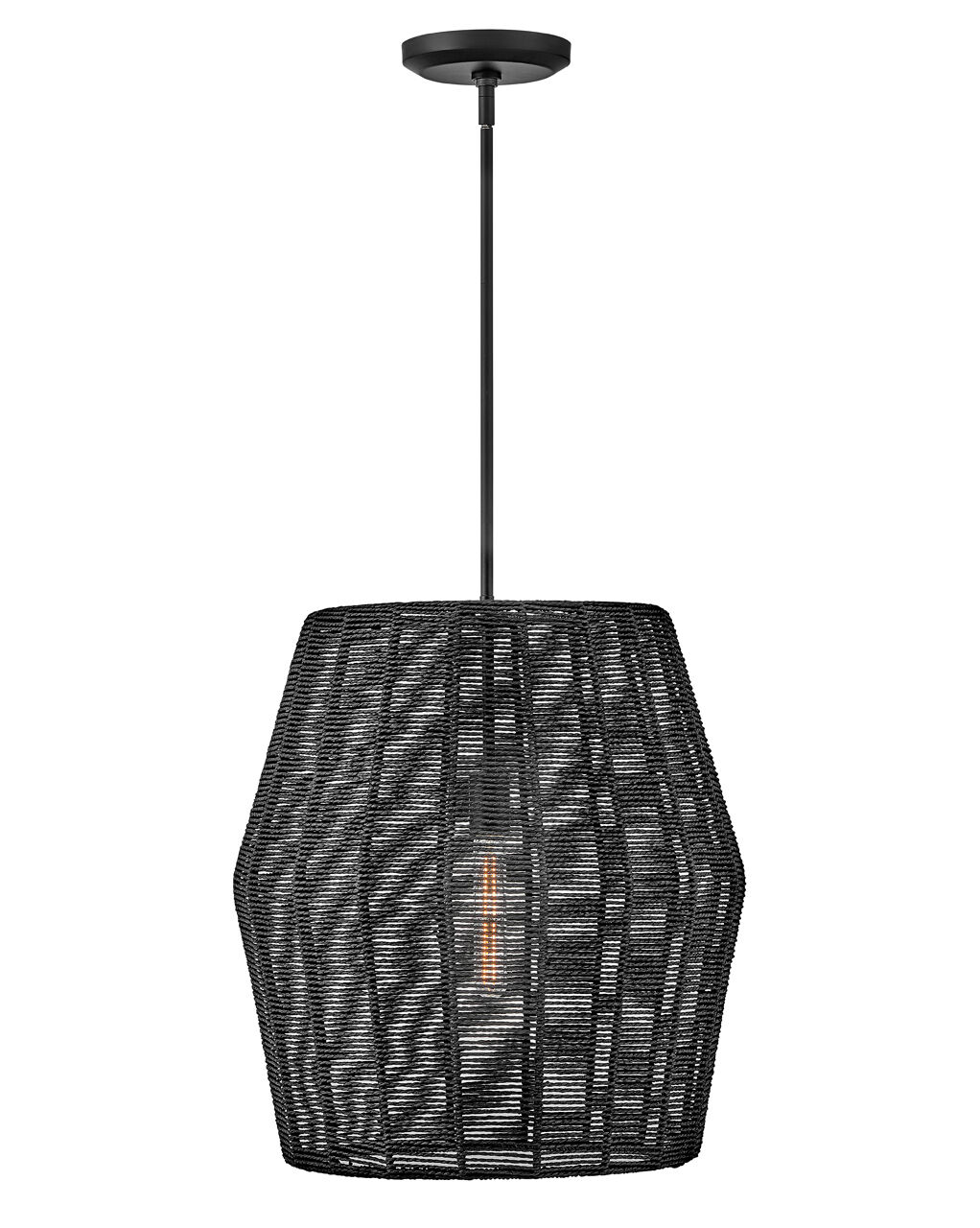 Hinkley Luca 1-Light Pendant In Black*